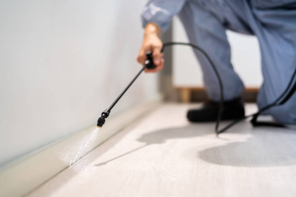 Licensed Bed Bug Control service in Nicoma Park, OK - Nex Pest Control