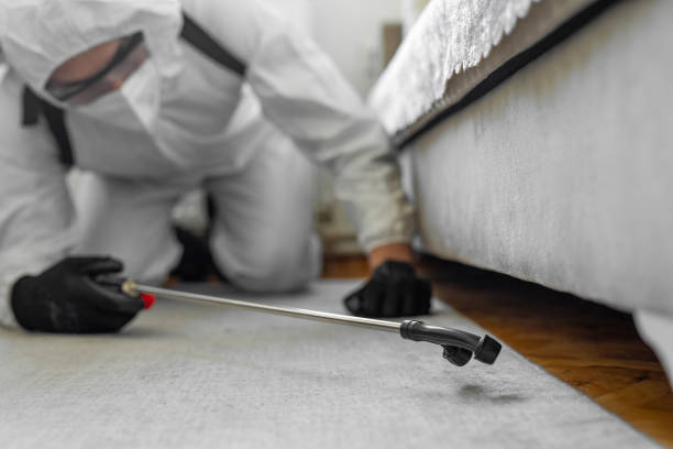 Professional Bed Bug Control technician working in Nicoma Park, OK