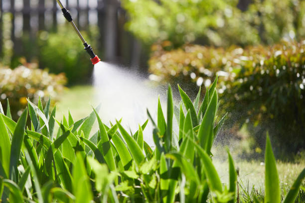 24/7 Emergency Bed Bug Control experts in Nicoma Park, OK