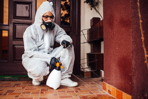 Reliable Bed Bug Control contractor in Nicoma Park, OK by Nex Pest Control